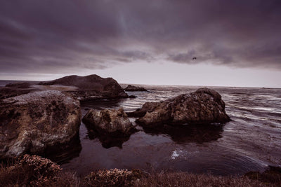 Wild Coast Collection - Norngaard